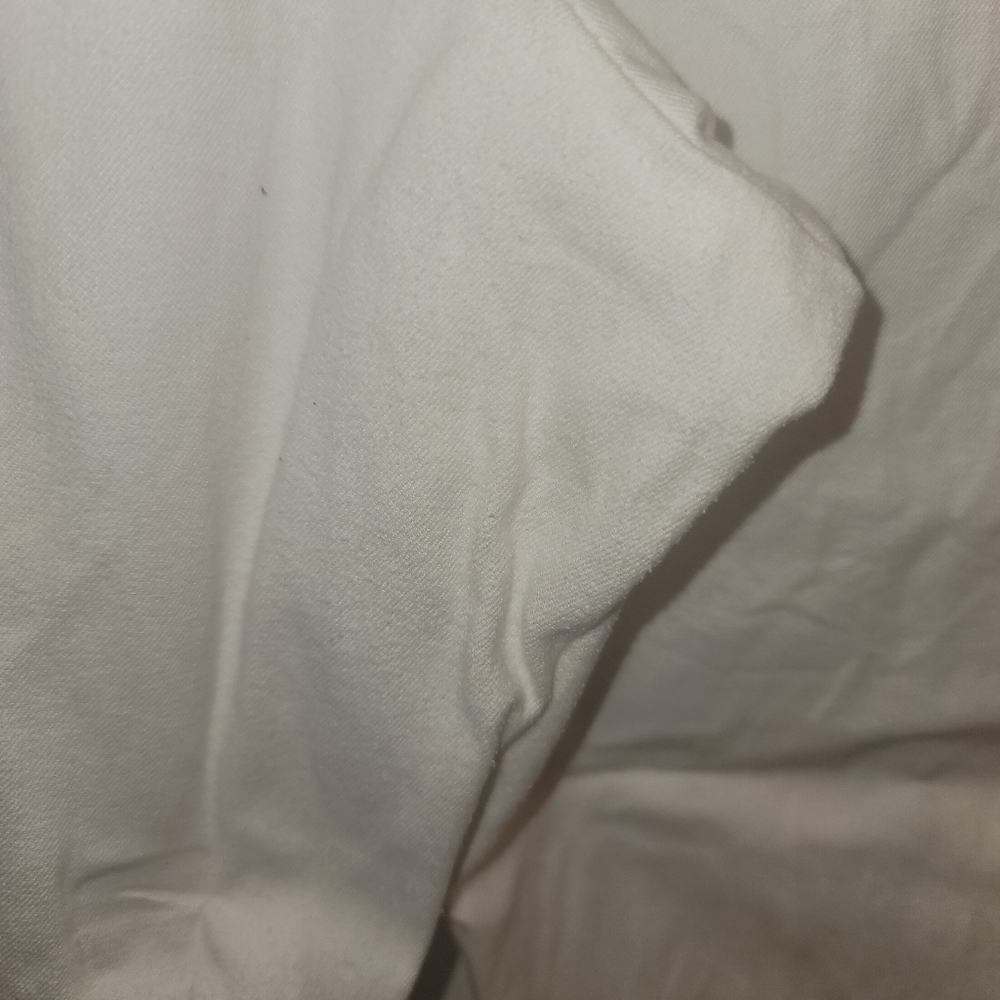Lane Bryant Ankle Pants - Picture 2 of 2